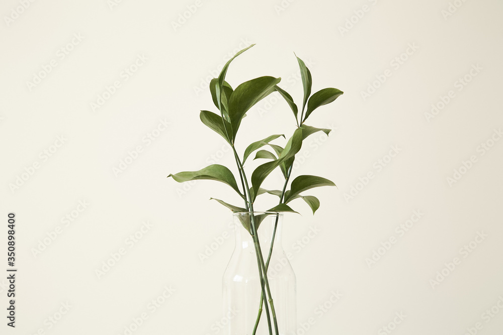 Green plants with fresh leaves in glass vase - obrazy, fototapety, plakaty 
