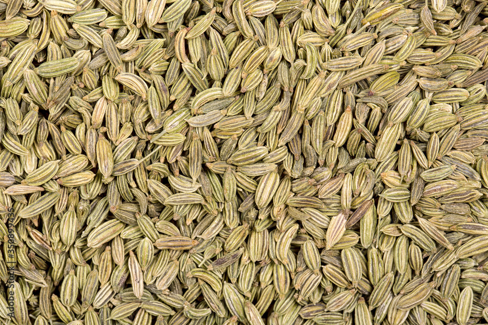 Fennel seeds