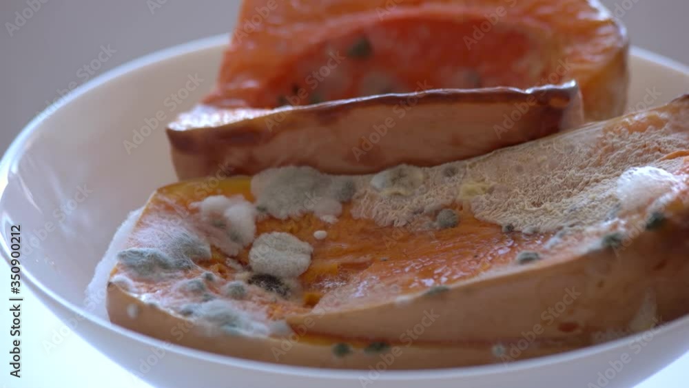 Bowl with moldy vegetable close up. Rotten pumpkin close up. Moldy