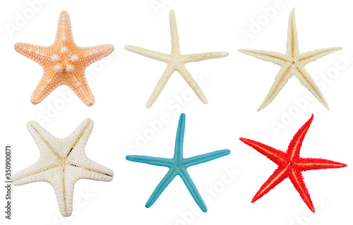 Natural starfish isolated on white background