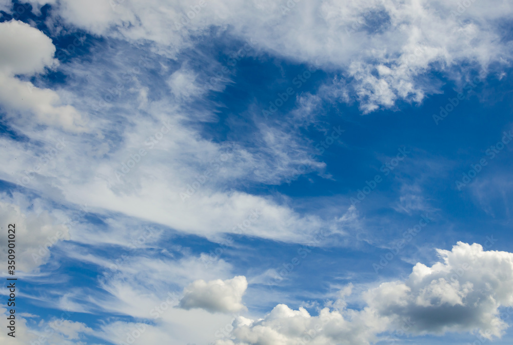 Fototapeta premium White clouds against a blue sky.