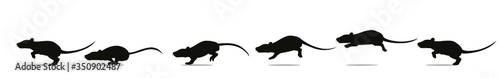 Full cycle of rat or mouse running animation. Vector illustration, silhouettes.