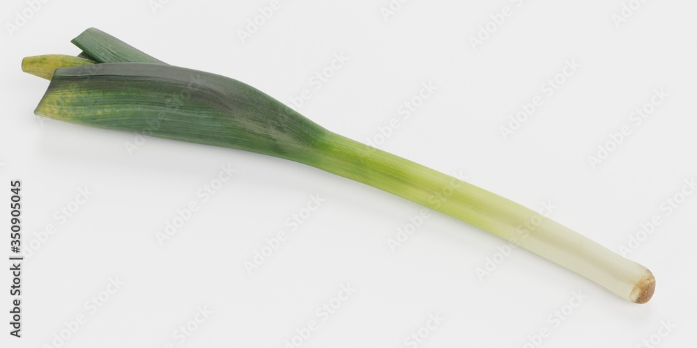 Realistic 3D Render of Leek Vegetable Realistic 3D Render of Leek Vegetable
