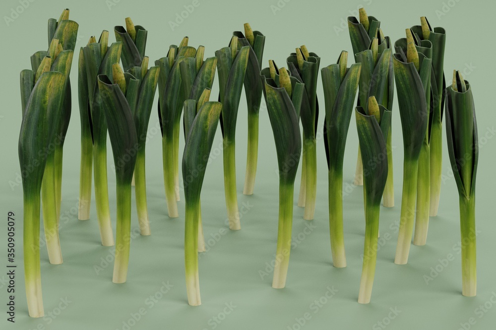 Fotografie Realistic 3D Render of Leek Vegetable