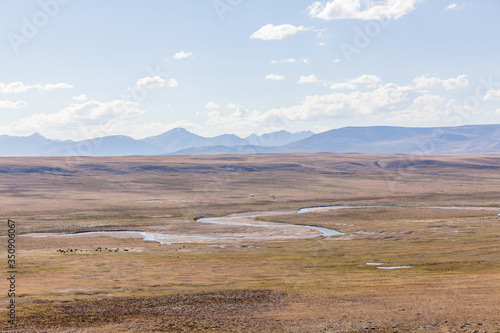 Typical view of Mongolian landscape. Mongolian steppe, Altai, Mongolia