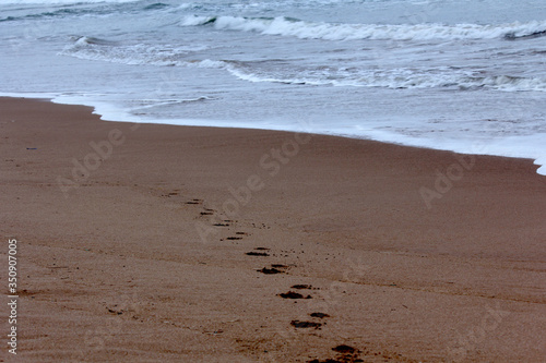 footprints on the beach