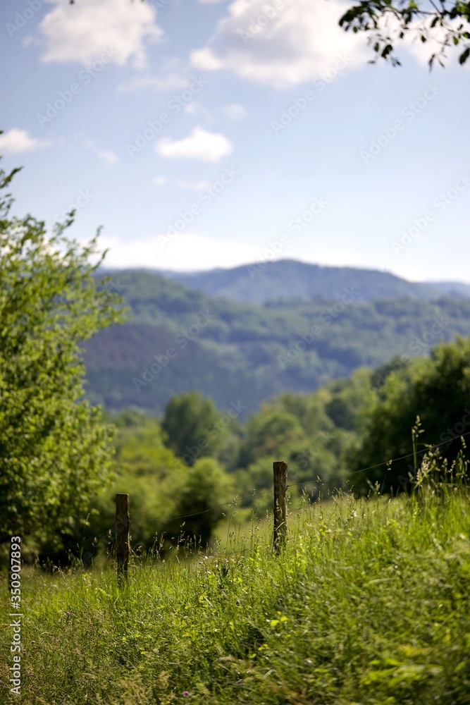 Fototapeta premium Paysage campagne