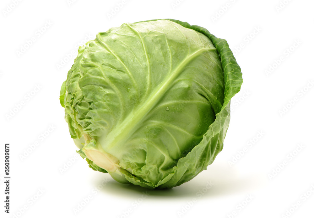 Fototapeta premium cabbage on white background