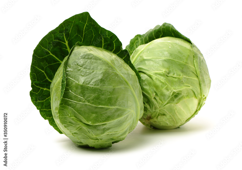 cabbage on white background cabbage on white background