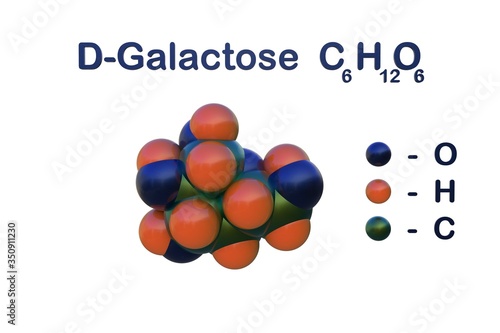 Quadro su tela Structural chemical formula and space-filling molecular model of d-galactose, an optical isomer of glucose