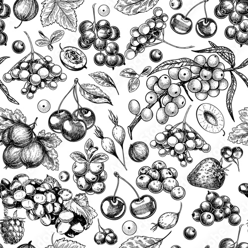 Hand drawn wild berry. Cherry, gooseberry, cranberry, raspberry, black currant, plum, rosehip, guelder rose, sea buckthorn, grape, strawberry. Vector seamless pattern. Vegan food package design.