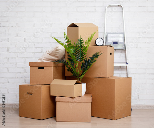 moving day concept - heap of cardboard boxes, houseplant and other domestic things over white brick wall photo