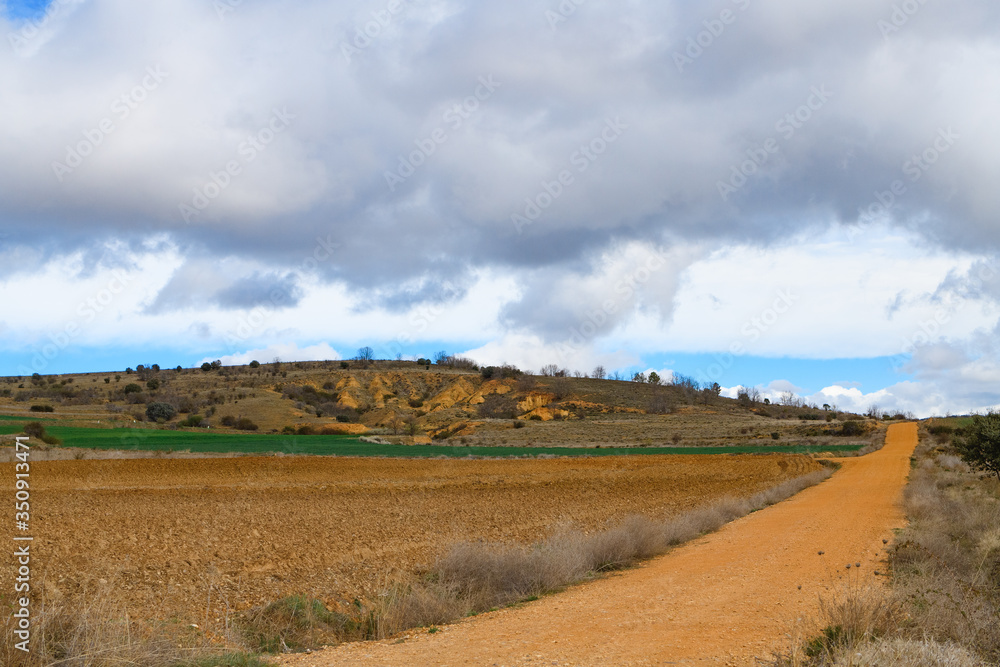 Obraz premium The main pilgrimage route to Santiago