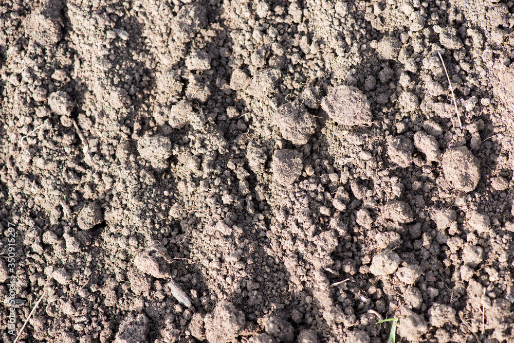 field before planting. texture of the earth. field before planting. texture of the earth.