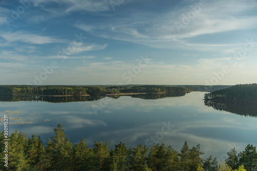 reflection of trees in water