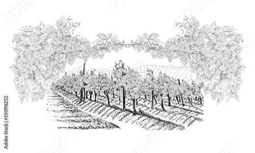 Vineyard with farm on horizon inside of decorative arc from grapes and vines. Landscape hand drawn in sketch style. Vector illustration isolated on white