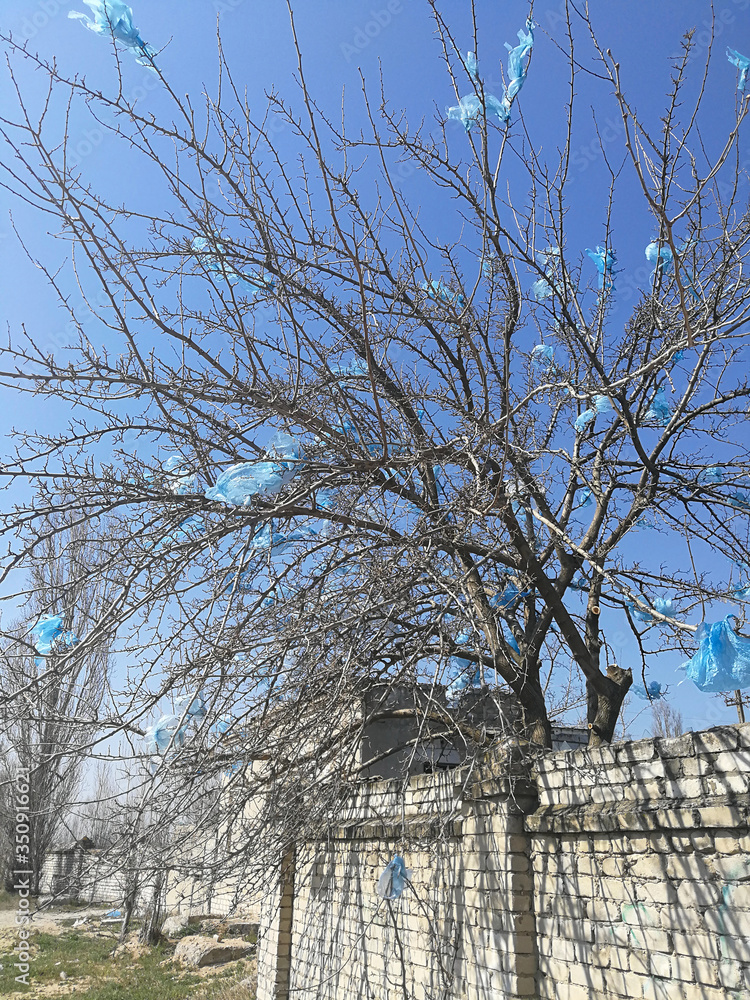 landscape with tree covered plastic bags. Nature and earth pollution. Trees covered with plastic bags over blue sky and a lot of plastic garbage on the earth. landscape with tree covered plastic landscape with tree covered plastic bags. Nature and earth pollution. Trees covered with plastic bags over blue sky and a lot of plastic garbage on the earth. landscape with tree covered plastic
