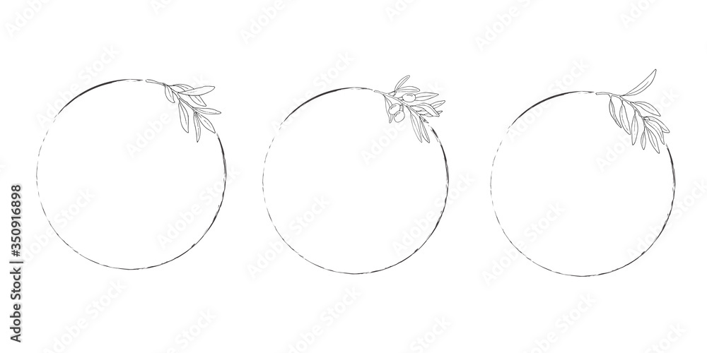 Naklejka Round frames with olive leaves. Vector image isolated on white background. Hand drawn.