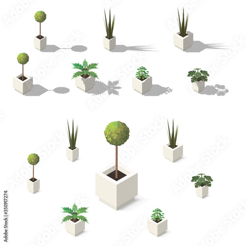 Vector isometric office plants. Indoor house plants set for interior decor.