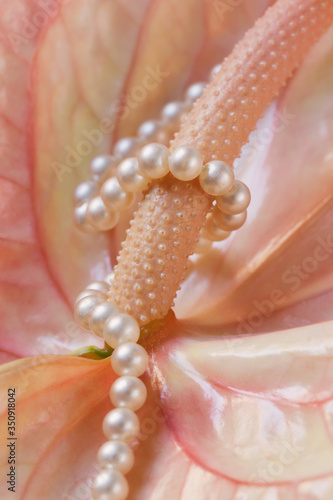 Canvastavla Anthurium andraeanum close up decorated with pearl beads.