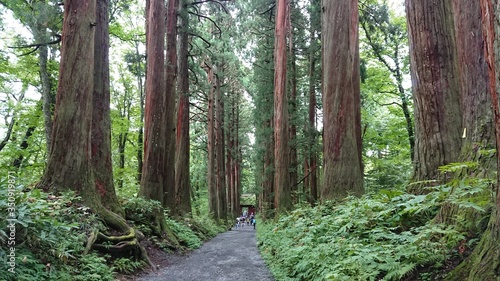 Togakushi  in Nagano photo