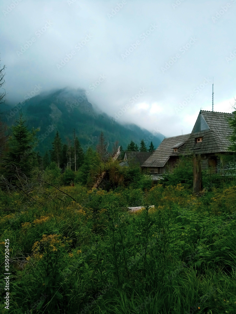 Old house in mountains in summer. Tatry, Poland