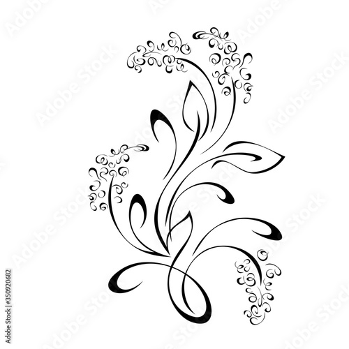 ornament 1174. decorative twig with small flowers, leaves and curls in black lines on white background