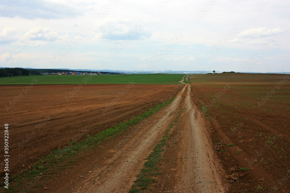 Dirt country road in the field