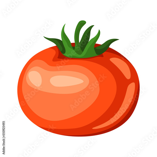 Illustration of red ripe tomato.
