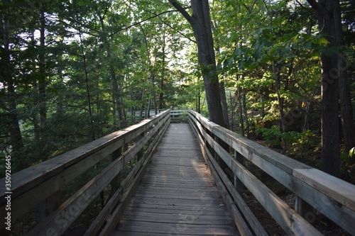 Wooden boardwalk with hand railings through a forest in Quebec, Canada