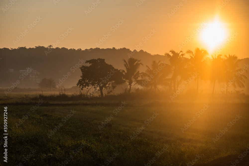 Sunrise, road in Indian fields