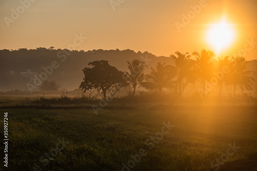 Sunrise, road in Indian fields