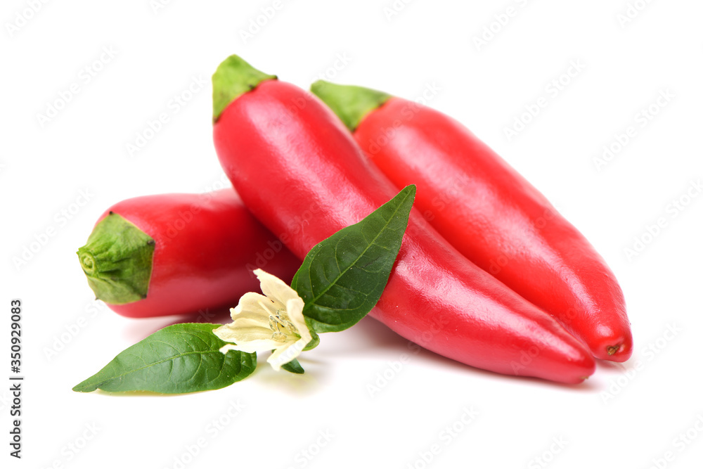 Red chili peppers on white background Red chili peppers on white background