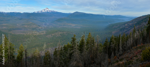 Mountain panoramic view with the Mt Jefferson from Green Ridge Lookout in central Oregon in the morning.