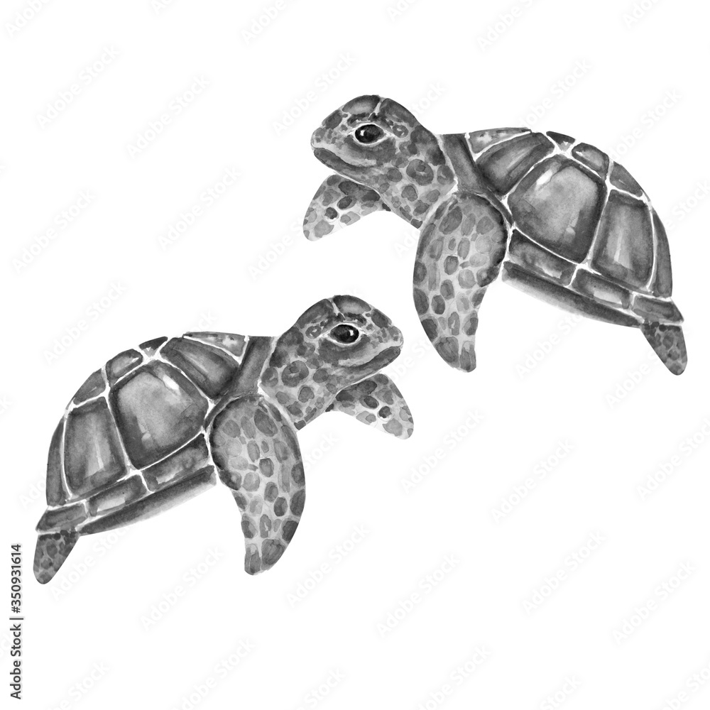 Fototapeta premium Aquarelle painting of turtle sketch art pattern illustration