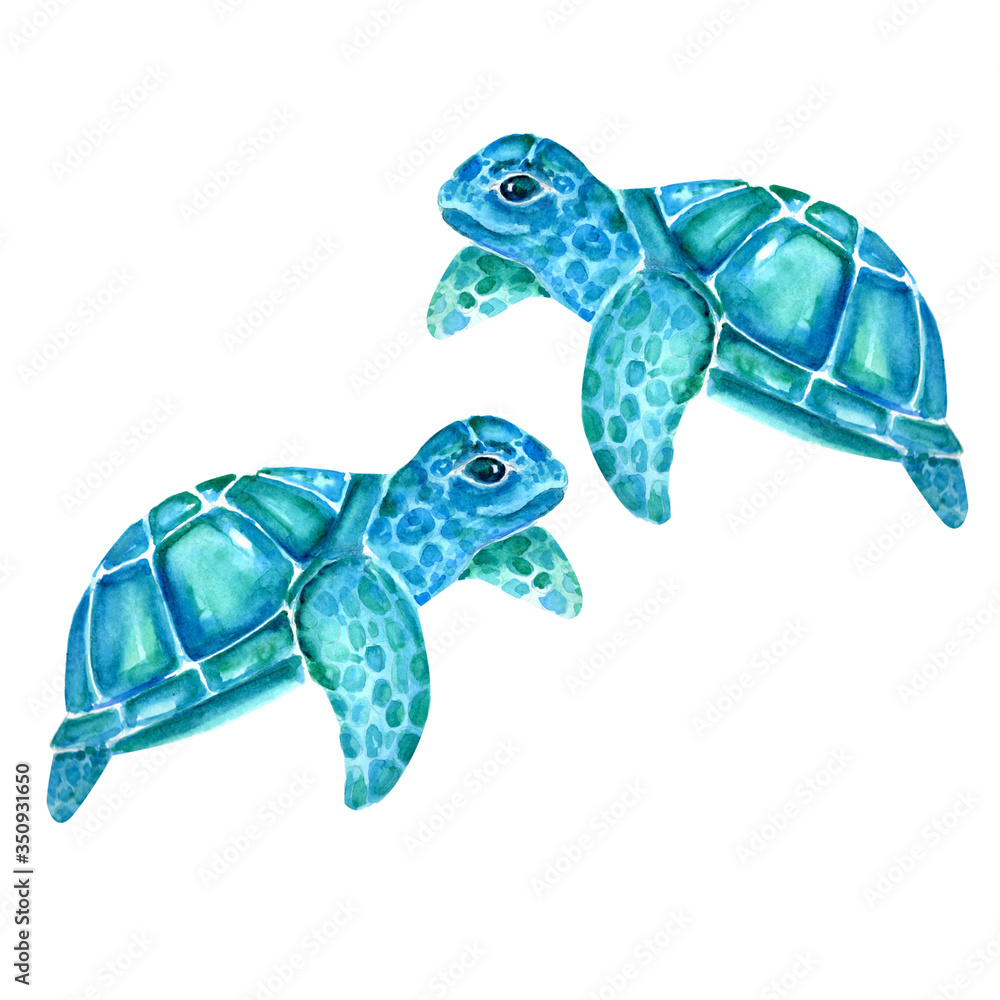 Obraz premium Aquarelle painting of turtle sketch art pattern illustration