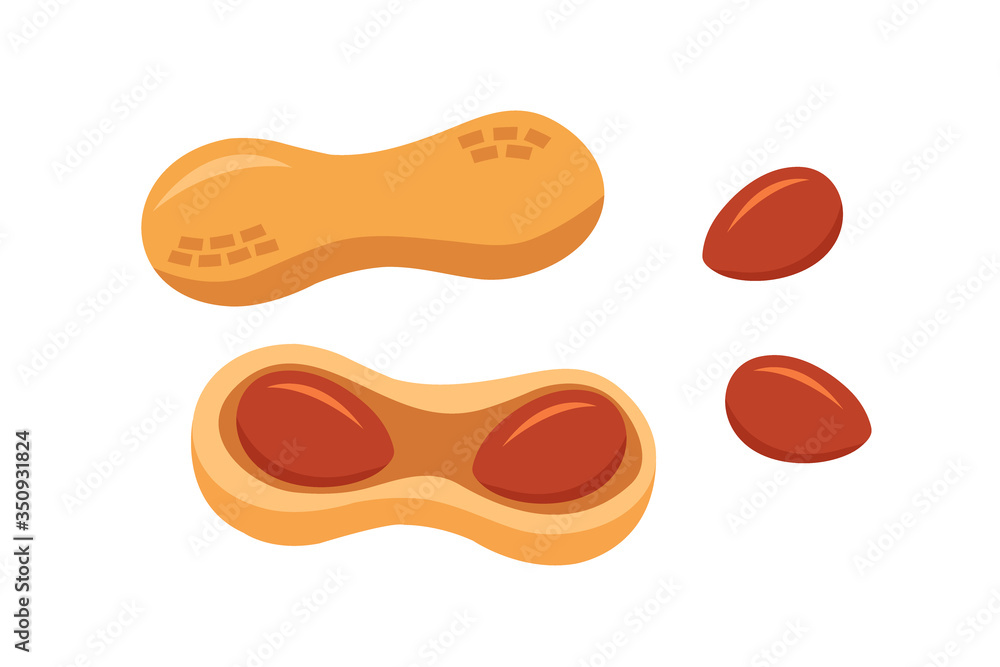 Vector illustration of set peanuts. Vector set of peanut snack. Vector illustration of set peanuts. Vector set of peanut snack.