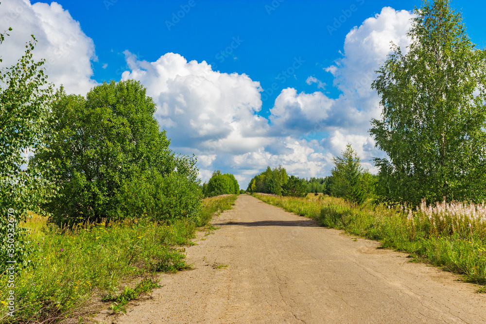Fototapeta premium summer landscape asphalt road in the countryside