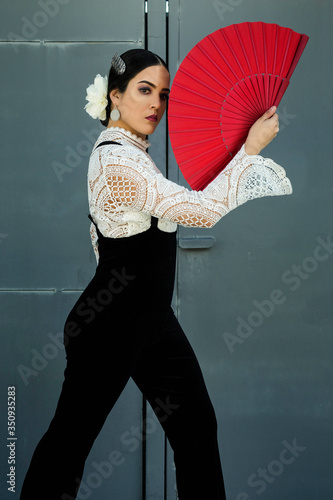 Flamenco dancer 