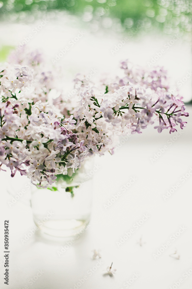 beautiful lilac flowers on the window in a vase, background beautiful lilac flowers on the window in a vase, background