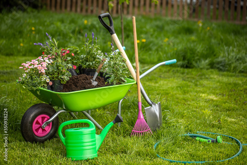 Foto Wheelbarrow with gardening tools in the garden