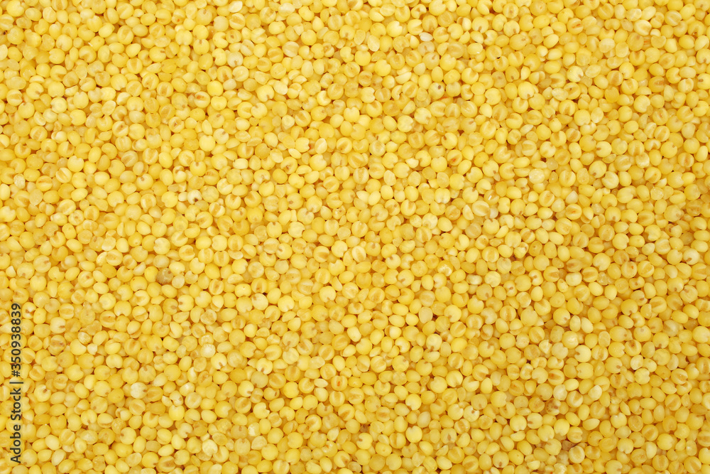 Yellow millet background 