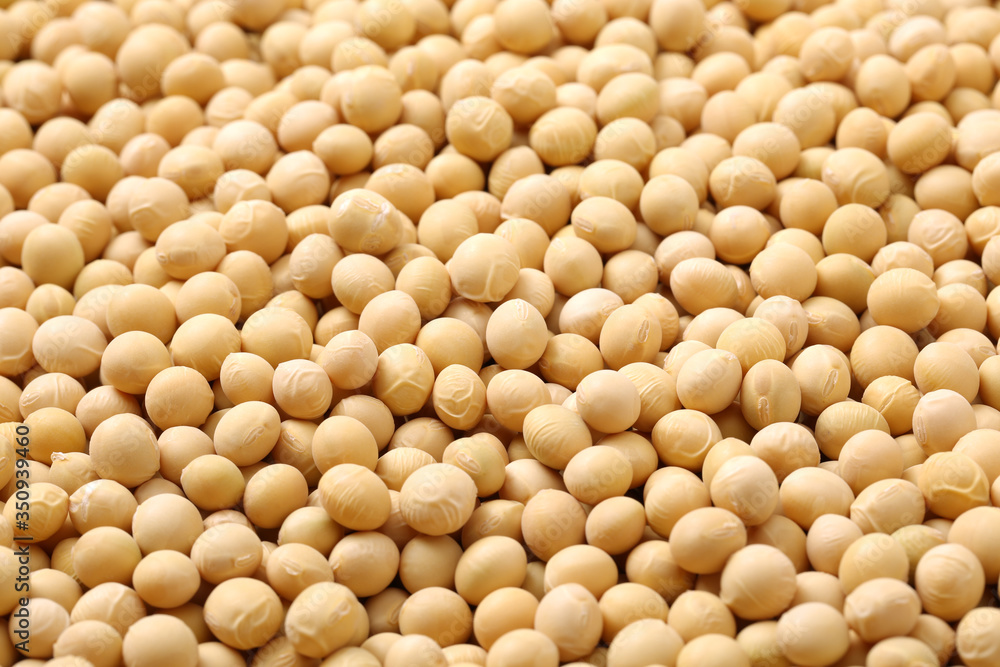 soy beans on white background. soy beans on white background.