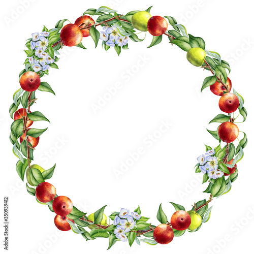 Watercolor illustration apple wreath with leaves and flowers on an isolated white background. Hand-painted watercolor clipart.