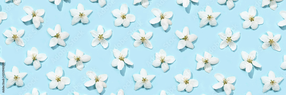 Apple tree floral pattern. Bright summer background. Spring white fruit flowers. Repeat spring texture. Creative trend composition. Many springtime elements. Blank may layout. Horizontal banner. Blue Apple tree floral pattern. Bright summer background. Spring white fruit flowers. Repeat spring texture. Creative trend composition. Many springtime elements. Blank may layout. Horizontal banner. Blue