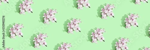Apple tree floral pattern. Bright summer background. Spring white fruit flowers. Repeat spring texture. Creative trend composition. Many springtime elements. Horizontal banner. Green mint