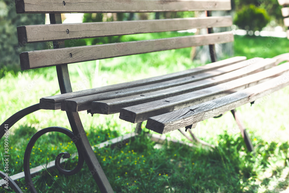 Lonely wooden bench in the park