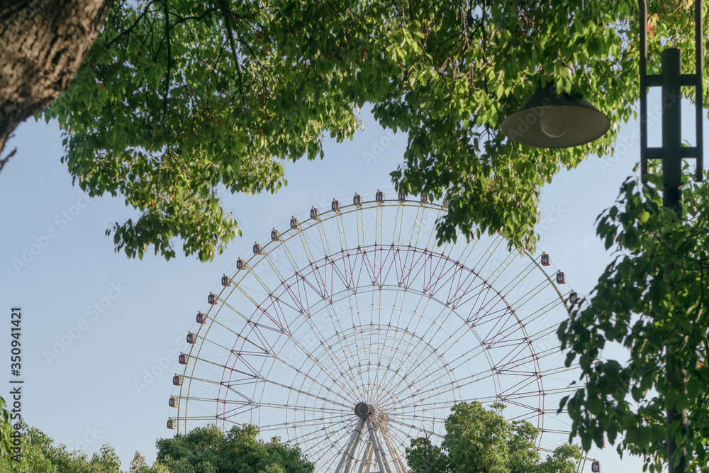 Fototapeta premium The ferris wheel and trees in a sunny day.