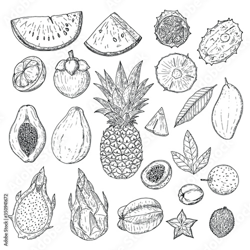 Set of tropical fruits. Vector cartoon illustrations. Isolated objects on a white background. Hand-drawn style.
