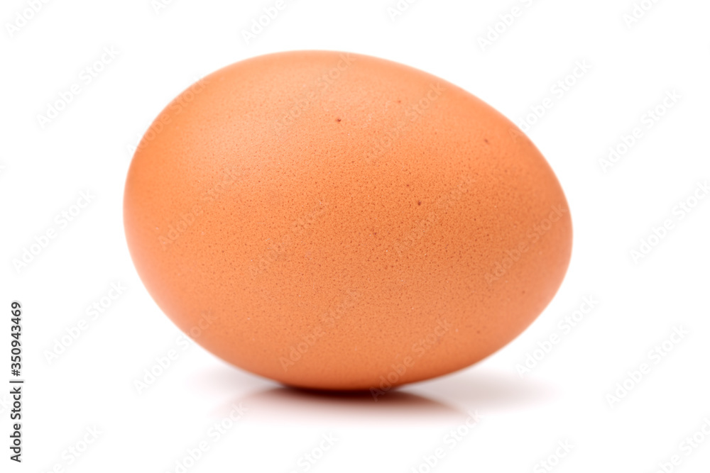 eggs on a white background eggs on a white background